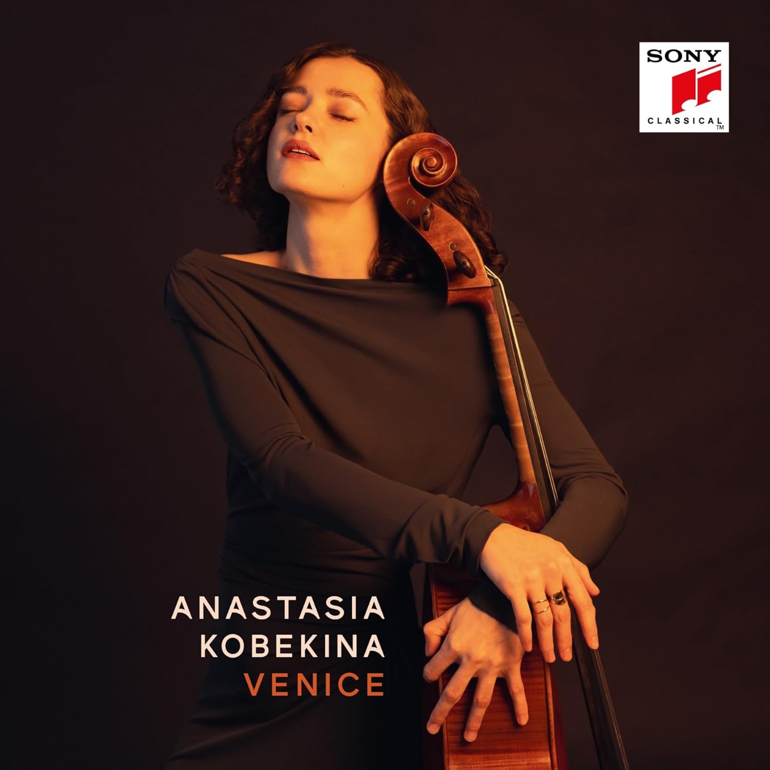 Image of Artwork For  - Venice (Anastasia Kobekina)