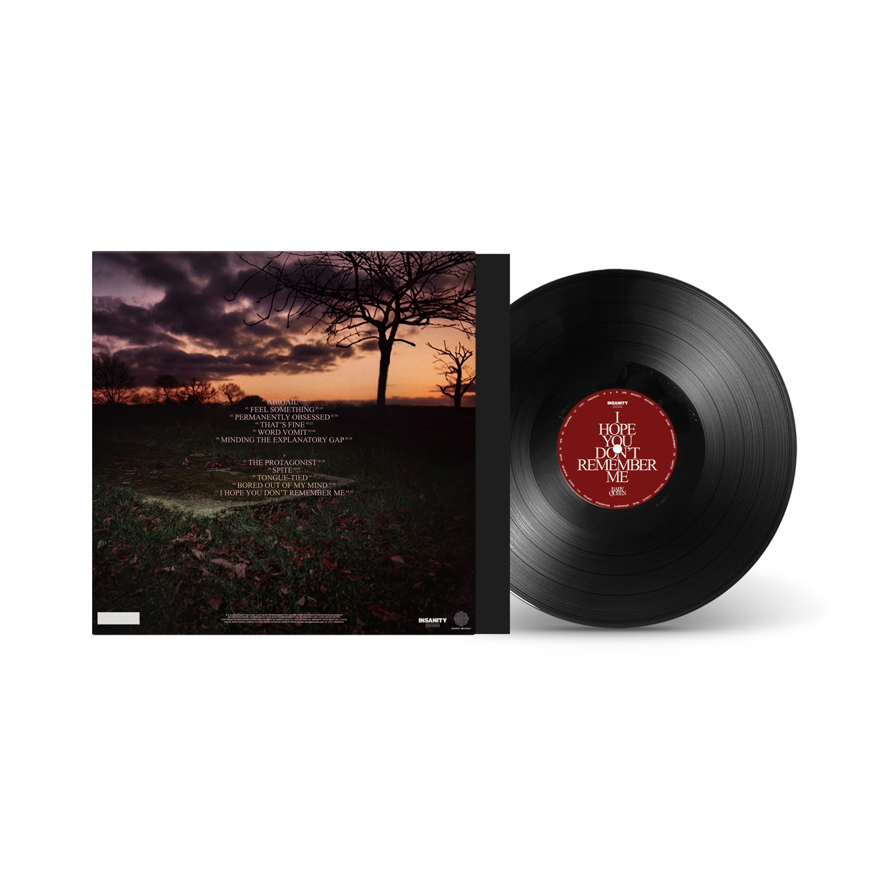 Image of Baby Queen 'I Hope You Don't Remember Me' standard vinyl cover.