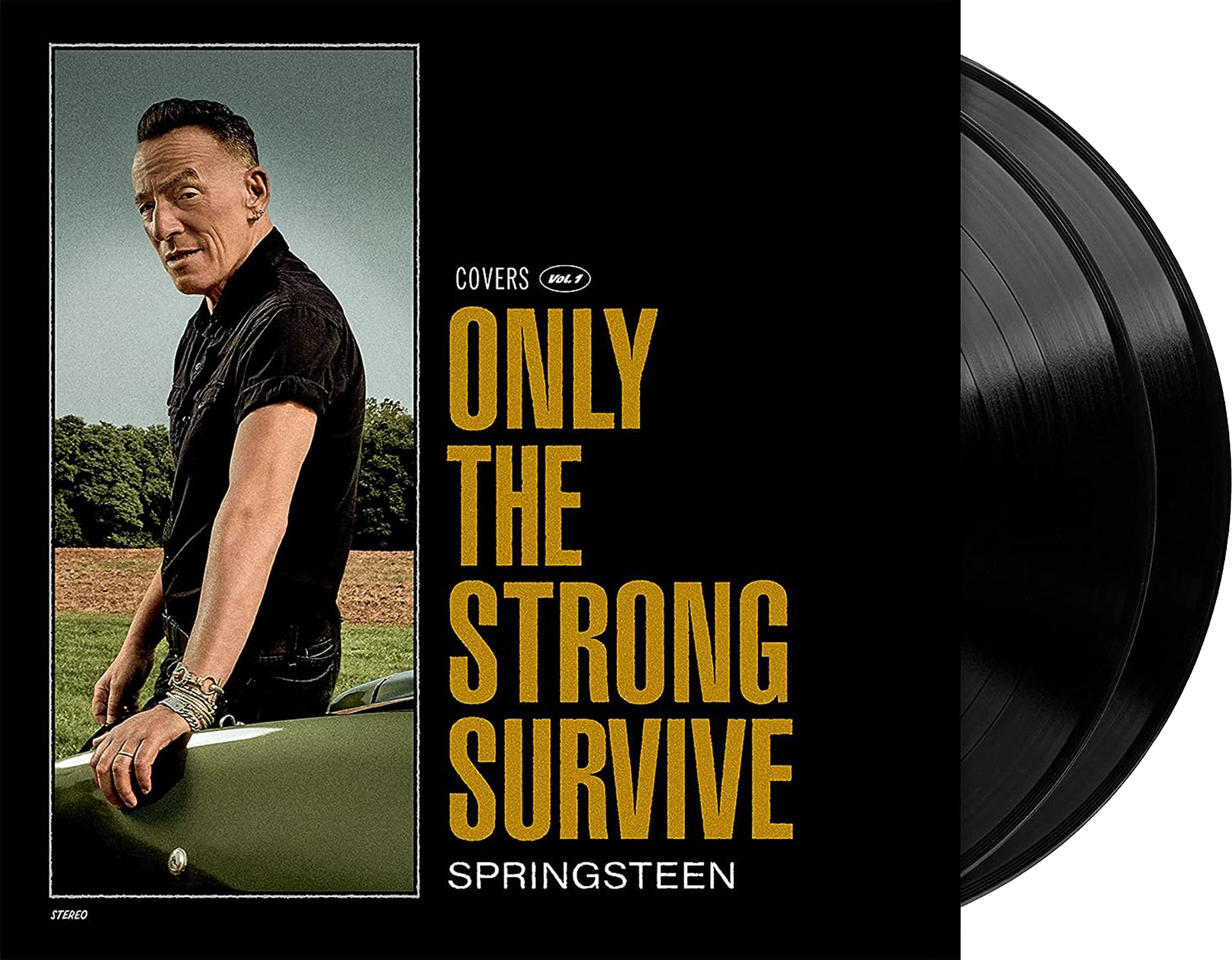 Image of Artwork for Bruce Springsteen's Only the Strong Survive (2LP)