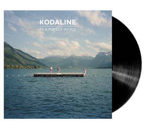 In A Perfect World (LP)