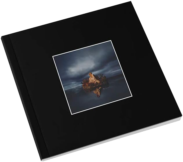 Image of Artwork for London Grammar's Californian Soil (4LP Boxset)