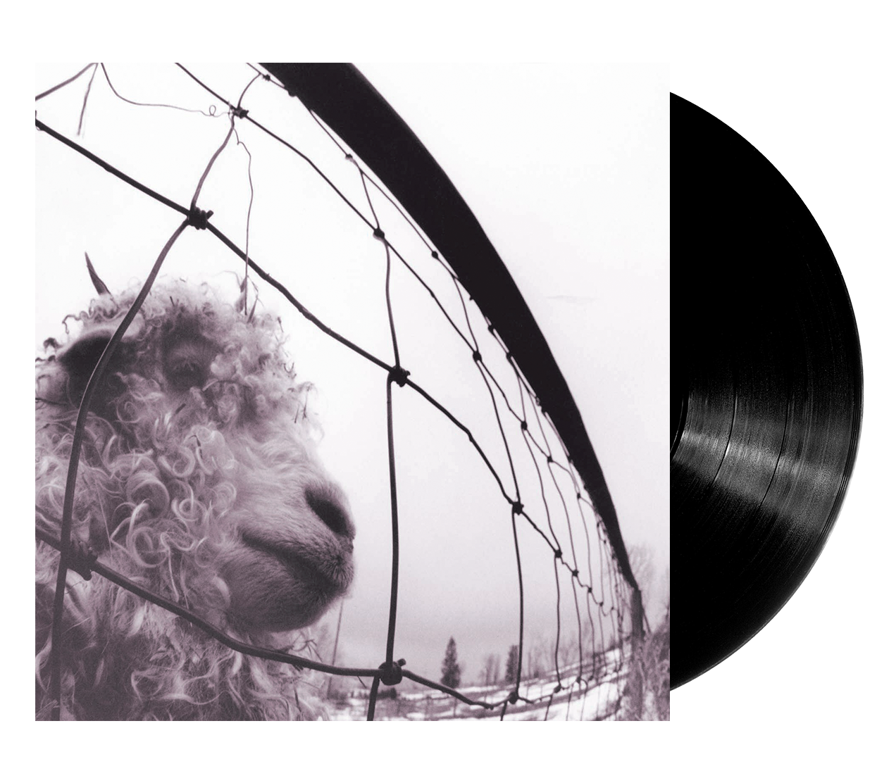 Image of Artwork for Pearl Jam's vs. Vinyl Edition (Remastered) (LP)