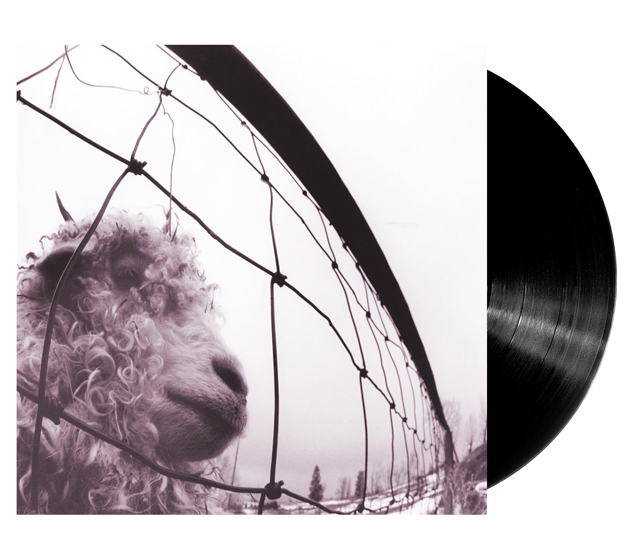 Image of Artwork for Pearl Jam's Vs. (30th Anniversary Edition) (2LP)