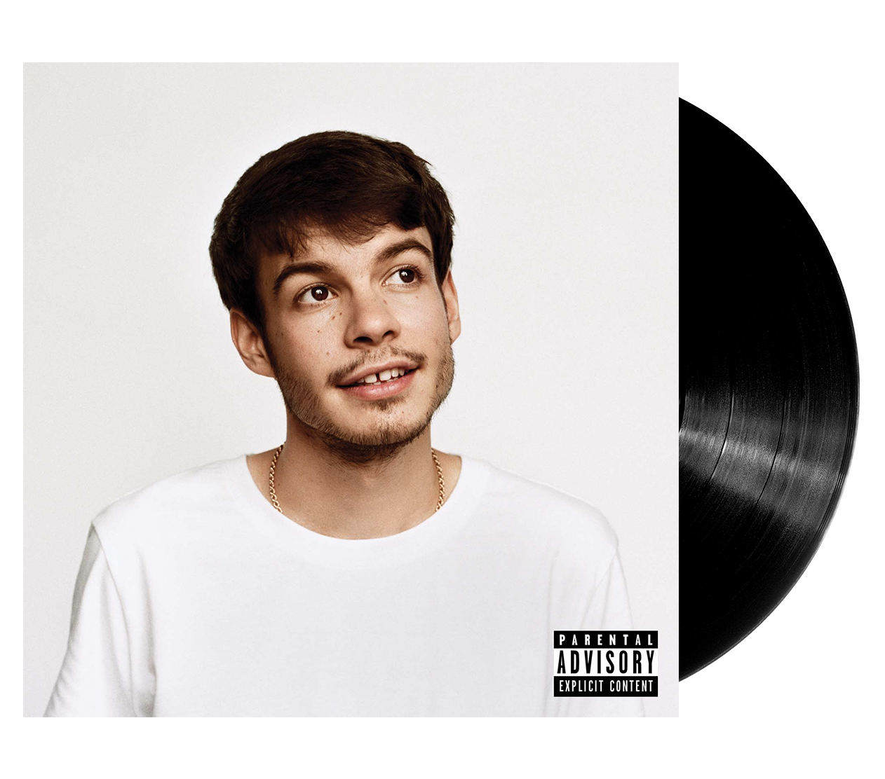 Image of Artwork for Rex Orange County's Pony (LP)