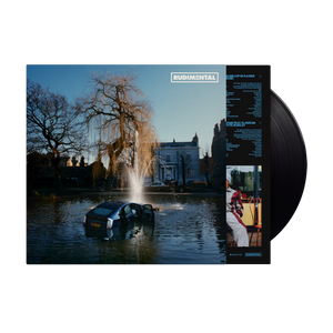 RUDIM3NTAL (Vinyl)