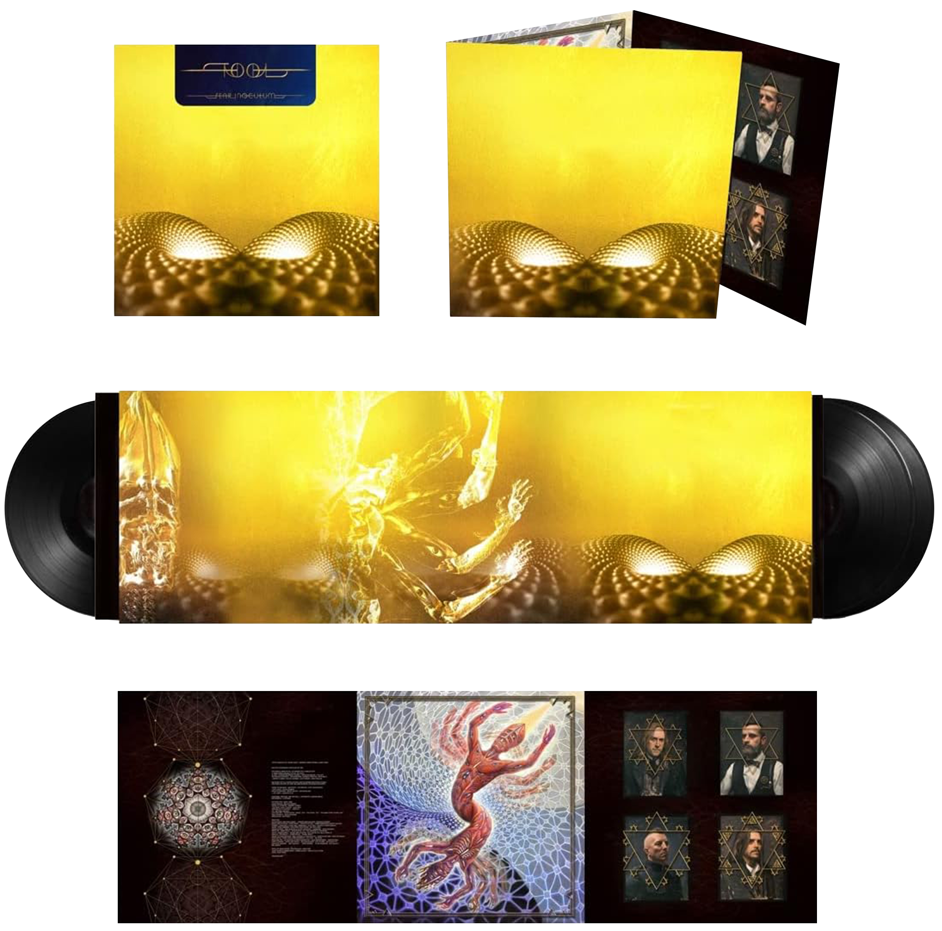 Image of Artwork for TOOL's Fear Inoculum (LP)